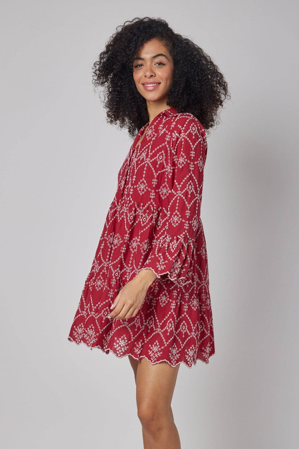 Cadenza Red Embroidered Fall Dress
