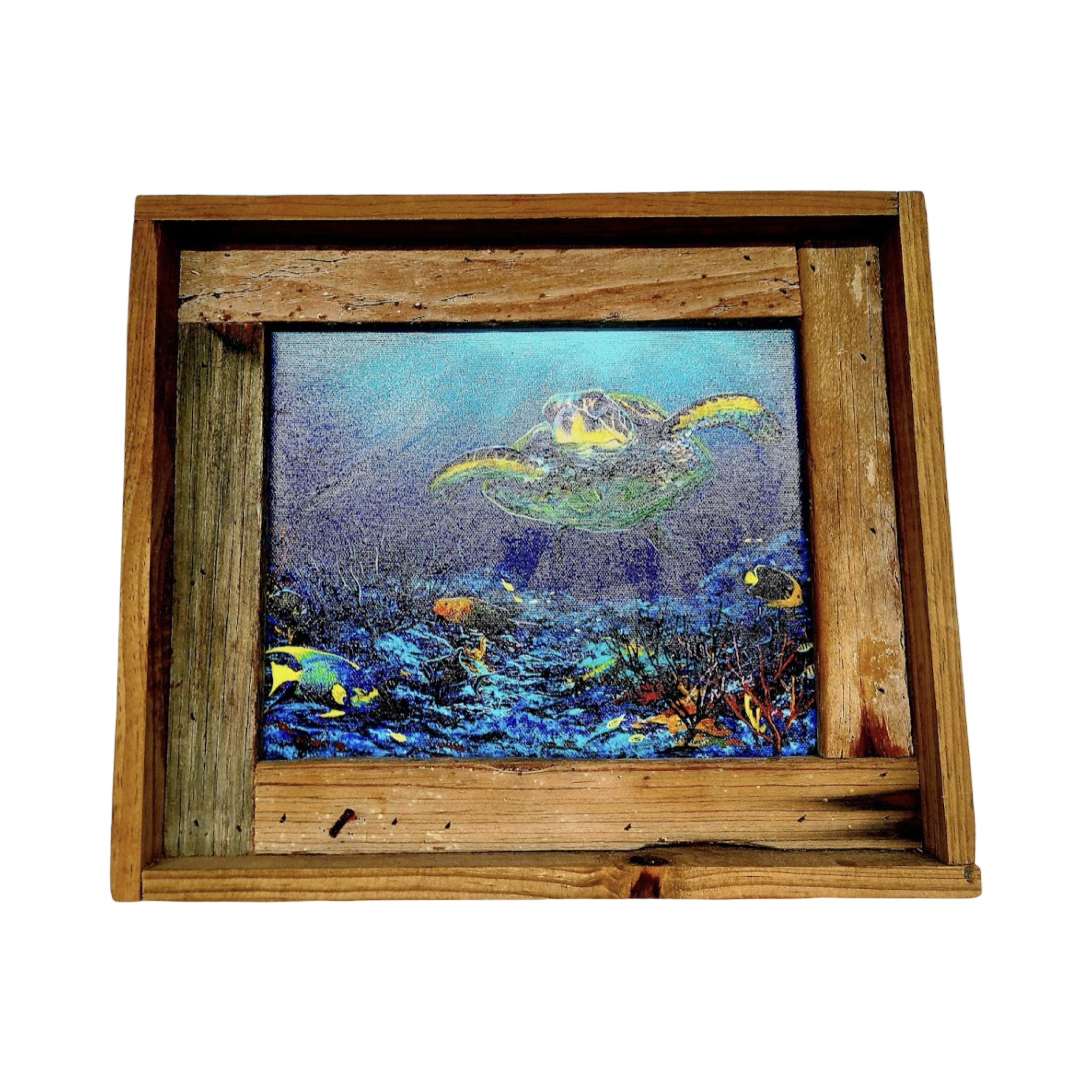 Sea turtle painting stretched canvas on wood