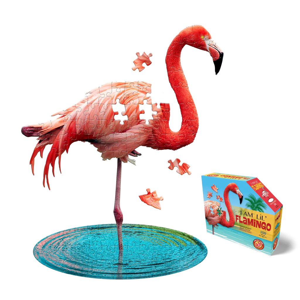 I AM LiL' FLAMINGO 100