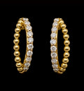 Diamonds and gold earrings
