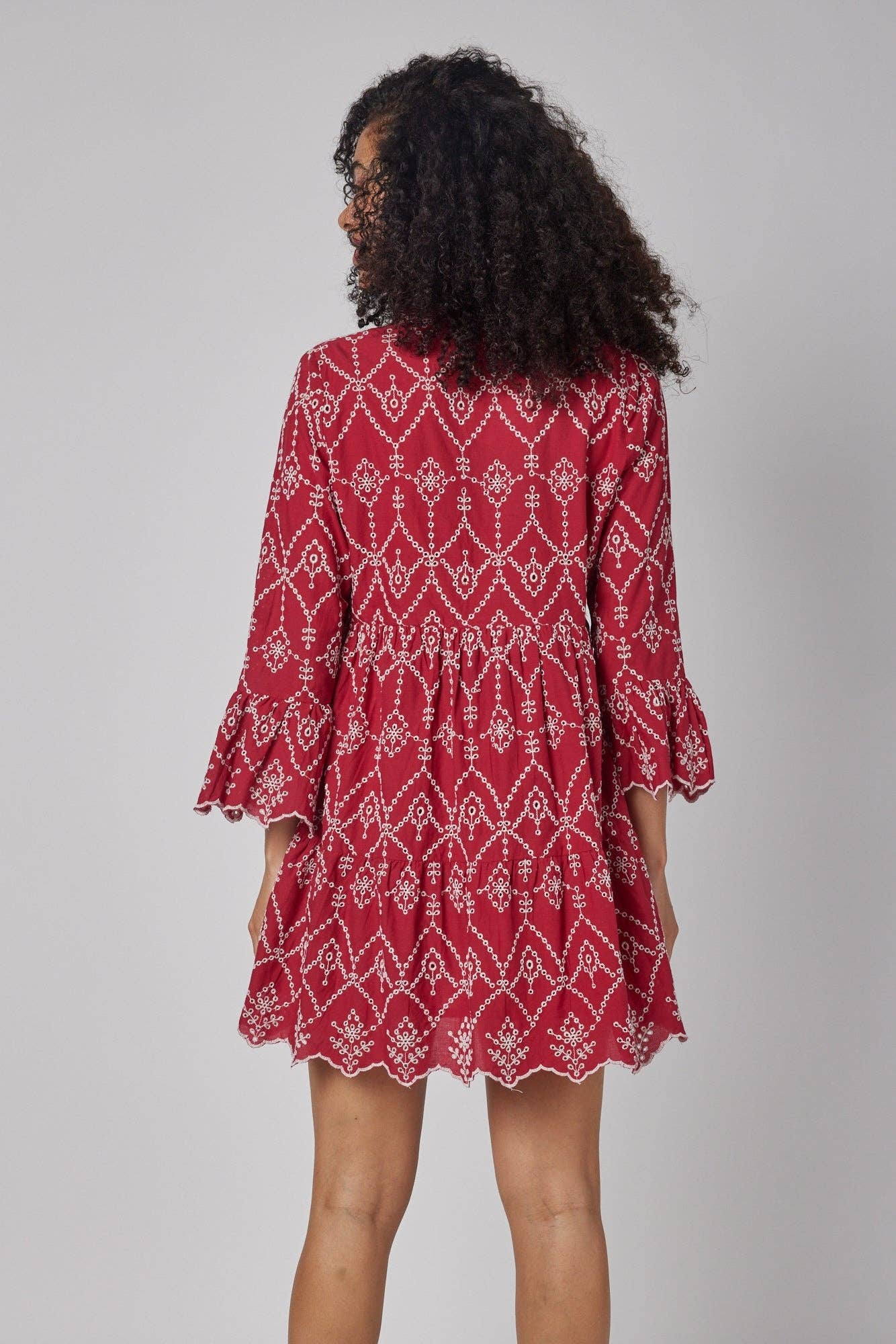 Cadenza Red Embroidered Fall Dress