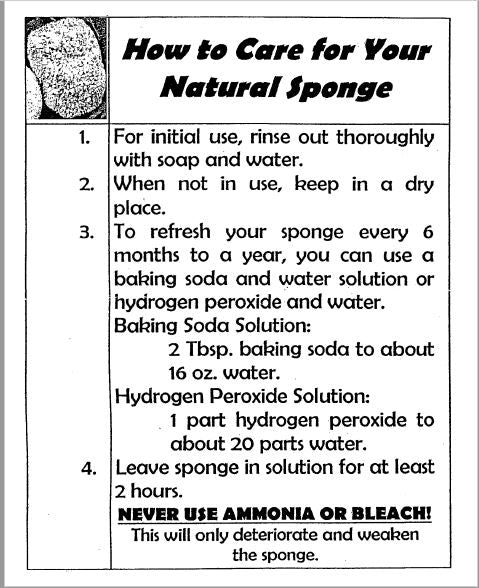Key West Natural Sea Sponge